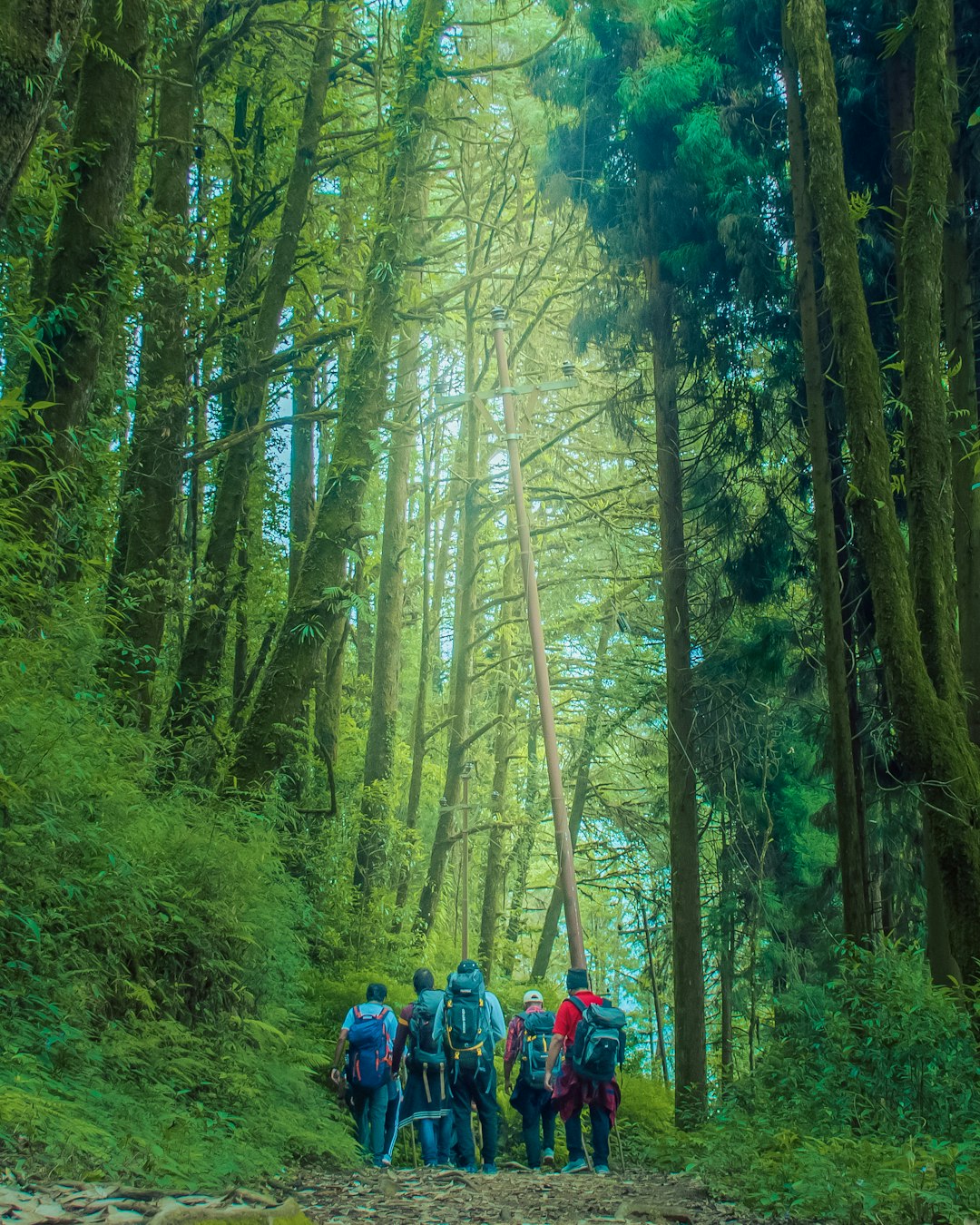 Guide educating tourists about local conservation efforts